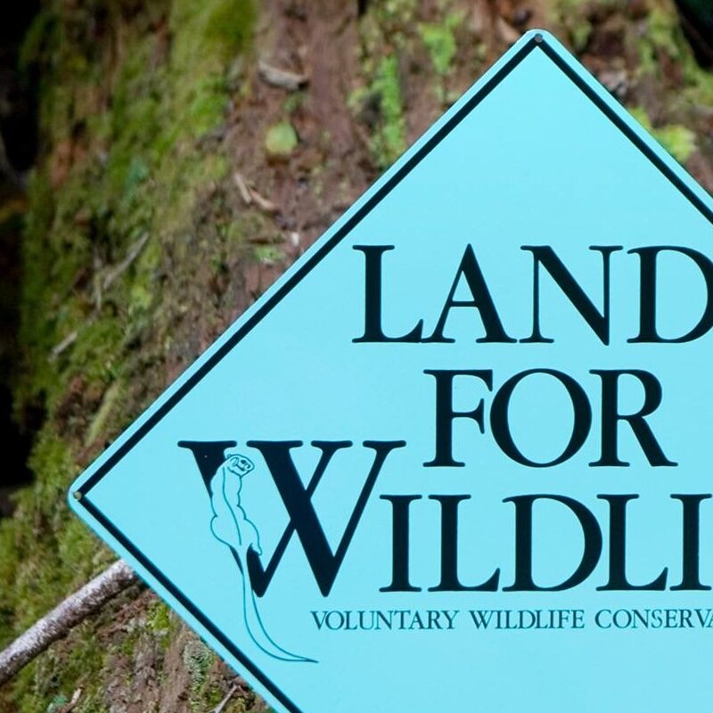 309148758_467721918737004_8579904968962548365_n